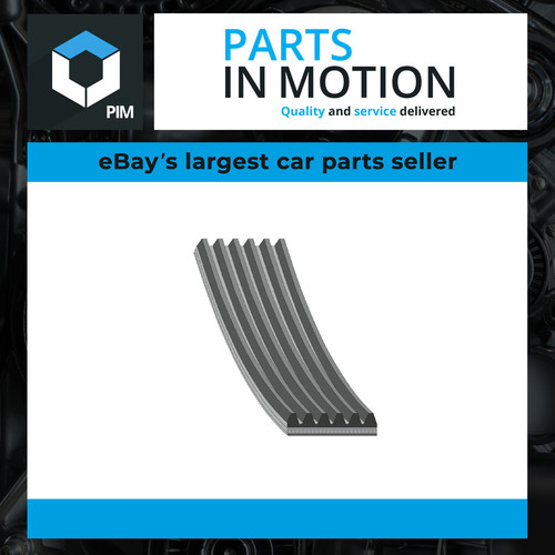 Rib multi drive belt - rib,